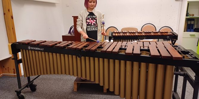 attēlā meitene spēlē marimbu